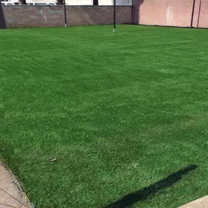 Fake Grass Carpet Larkspur, California High School Sports