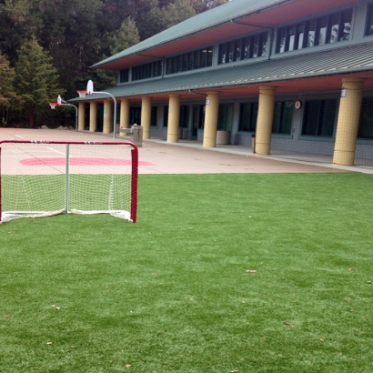 Fake Grass Carpet Nicasio, California Sports Athority, Commercial Landscape