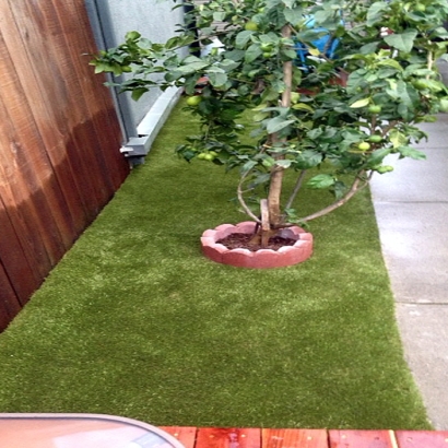 Fake Grass Carpet South Oroville, California Dog Pound, Beautiful Backyards