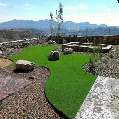 Fake Grass Carpet Sunol, California Garden Ideas, Backyard Landscaping Ideas