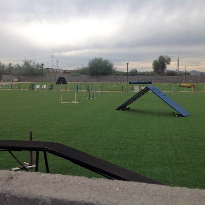 Fake Grass Chinese Camp, California Backyard Soccer, Recreational Areas