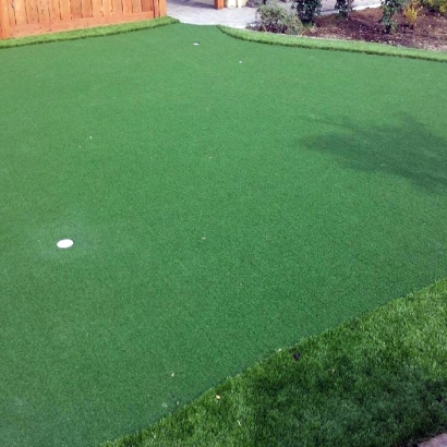 Fake Grass Citrus Heights, California Home Putting Green