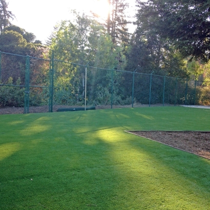 Fake Grass Fetters Hot Springs-Agua Caliente, California Backyard Playground, Parks