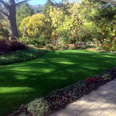 Fake Grass Galt, California Landscape Ideas, Backyard