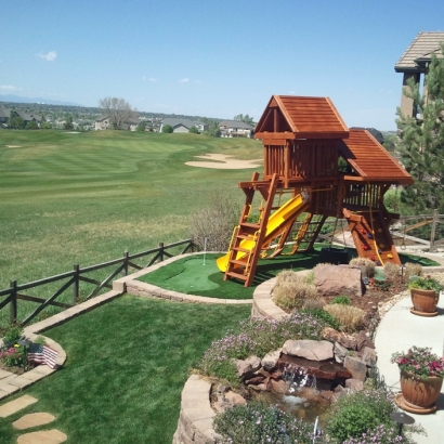 Fake Grass Granite Bay, California Landscape Photos, Beautiful Backyards