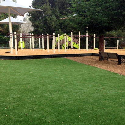 Fake Grass Hickman, California Athletic Playground, Backyards