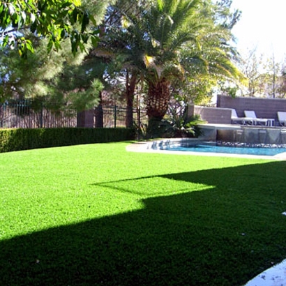 Fake Grass Ione, California Landscape Design, Backyards