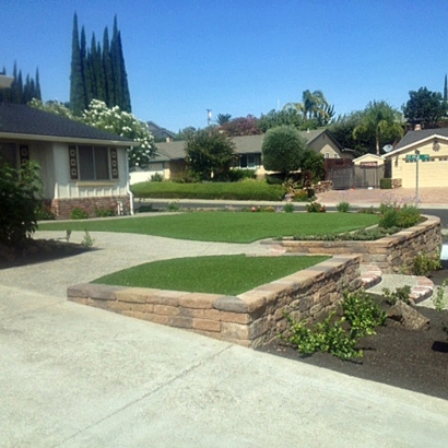 Fake Grass Orangevale, California Garden Ideas, Front Yard Ideas