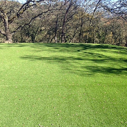 Fake Grass Oroville East, California Landscape Photos, Recreational Areas