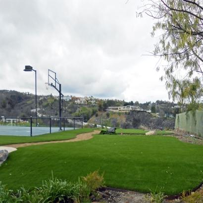 Fake Grass Soulsbyville, California Sports Athority, Commercial Landscape