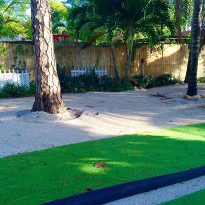 Fake Grass Strawberry, California Landscaping, Recreational Areas