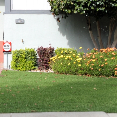 Fake Lawn Bay Point, California Garden Ideas, Front Yard Landscape Ideas