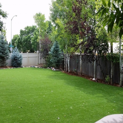 Fake Lawn Diablo, California Lawn And Garden, Backyard Design