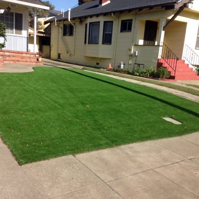 Fake Lawn Oakley, California Backyard Deck Ideas, Front Yard Landscaping