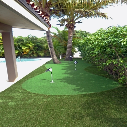 Fake Lawn Thermalito, California Design Ideas, Backyard Pool