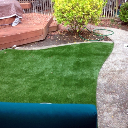 Fake Turf Bay Point, California Lawn And Landscape, Backyard Landscape Ideas