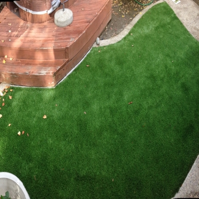 Fake Turf Byron, California Landscape Ideas, Backyard Landscaping Ideas