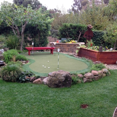 Fake Turf Davis, California Home And Garden, Backyard Makeover