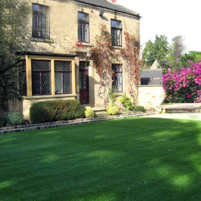 Fake Turf Lake of the Pines, California Landscaping, Front Yard Landscaping Ideas