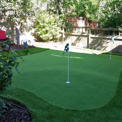 Fake Turf Maxwell, California Best Indoor Putting Green, Backyard Landscaping