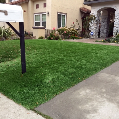 Faux Grass Discovery Bay, California Lawn And Landscape, Landscaping Ideas For Front Yard