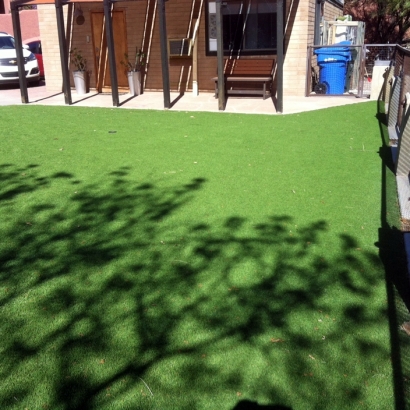 Grass Carpet Albany, California Lawn And Garden, Backyard Landscape Ideas
