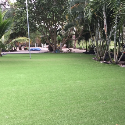 Grass Carpet Alto, California Design Ideas, Commercial Landscape