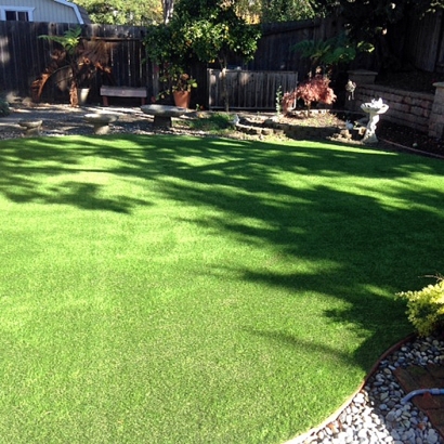 Grass Carpet Berkeley, California Backyard Playground, Small Backyard Ideas