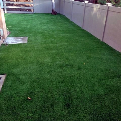 Grass Carpet Clyde, California Dog Run, Small Backyard Ideas