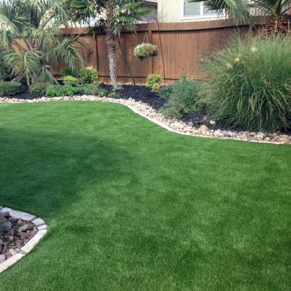 Grass Carpet Empire, California Pet Grass, Backyards