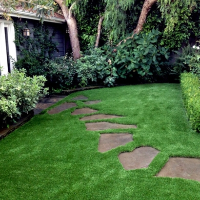 Grass Carpet Fairfield, California Design Ideas, Backyard Ideas