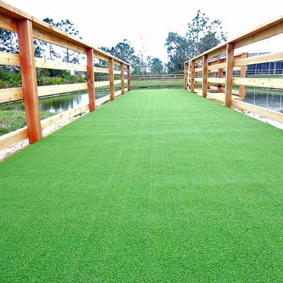 Grass Carpet Portola Valley, California Dog Grass, Commercial Landscape