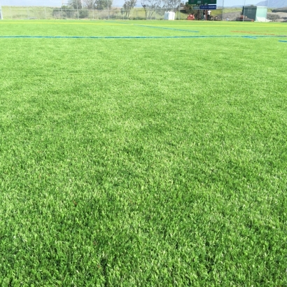 Grass Carpet Rohnert Park, California Red Turf