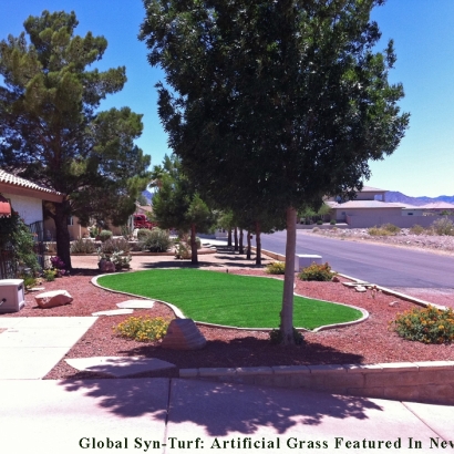 Grass Carpet Rosemont, California Landscape Design, Small Front Yard Landscaping