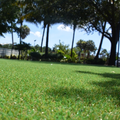 Grass Carpet Ross, California Landscape Ideas, Recreational Areas