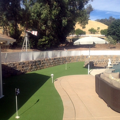 Grass Carpet Vacaville, California City Landscape, Backyard Designs