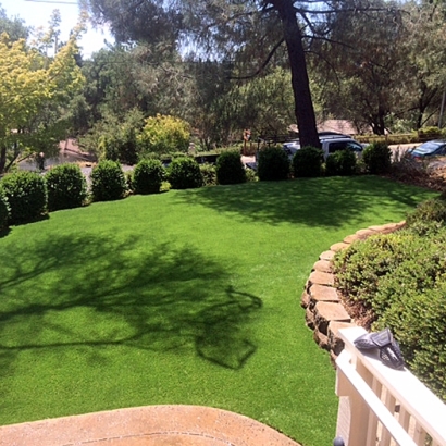 Grass Carpet Walnut Grove, California Landscape Design, Beautiful Backyards