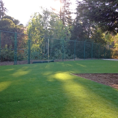 Grass Carpet Yuba City, California Landscape Photos, Parks