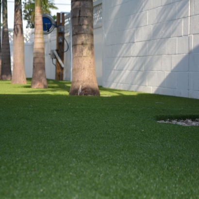 Grass Installation Bystrom, California Backyard Deck Ideas, Commercial Landscape