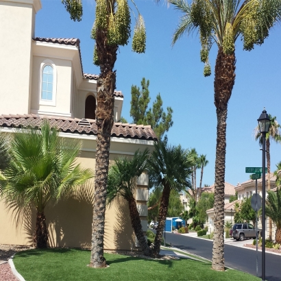 Grass Installation Novato, California City Landscape, Front Yard Landscaping Ideas