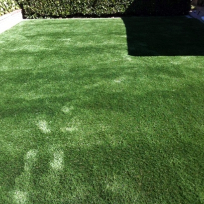 Grass Turf Elverta, California Lawn And Landscape, Backyard Ideas