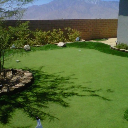 Grass Turf Graniteville, California Lawn And Garden, Backyard Makeover