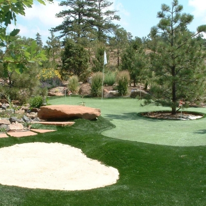 Grass Turf Lucas Valley-Marinwood, California Home Putting Green, Backyard Garden Ideas