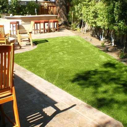 Grass Turf Oakley, California Lawn And Garden, Small Backyard Ideas