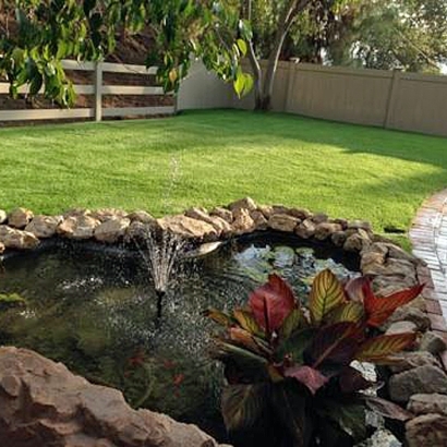 Grass Turf Peters, California Landscape Rock, Backyard Landscaping