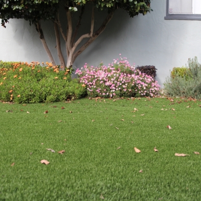Grass Turf Pleasanton, California Home And Garden, Landscaping Ideas For Front Yard