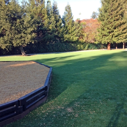 Green Lawn Jackson, California Athletic Playground, Recreational Areas