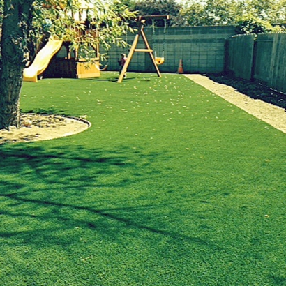 Green Lawn Strawberry, California Landscaping Business, Backyard Makeover