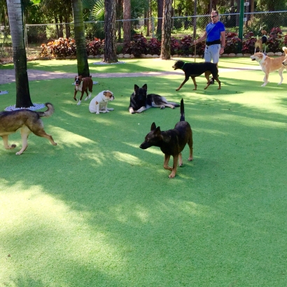 How To Install Artificial Grass Healdsburg, California Dog Grass, Grass for Dogs