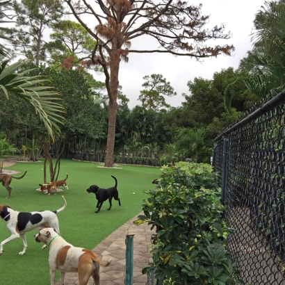 How To Install Artificial Grass Manteca, California Pet Paradise, Commercial Landscape